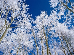 Финляндия зимой фото